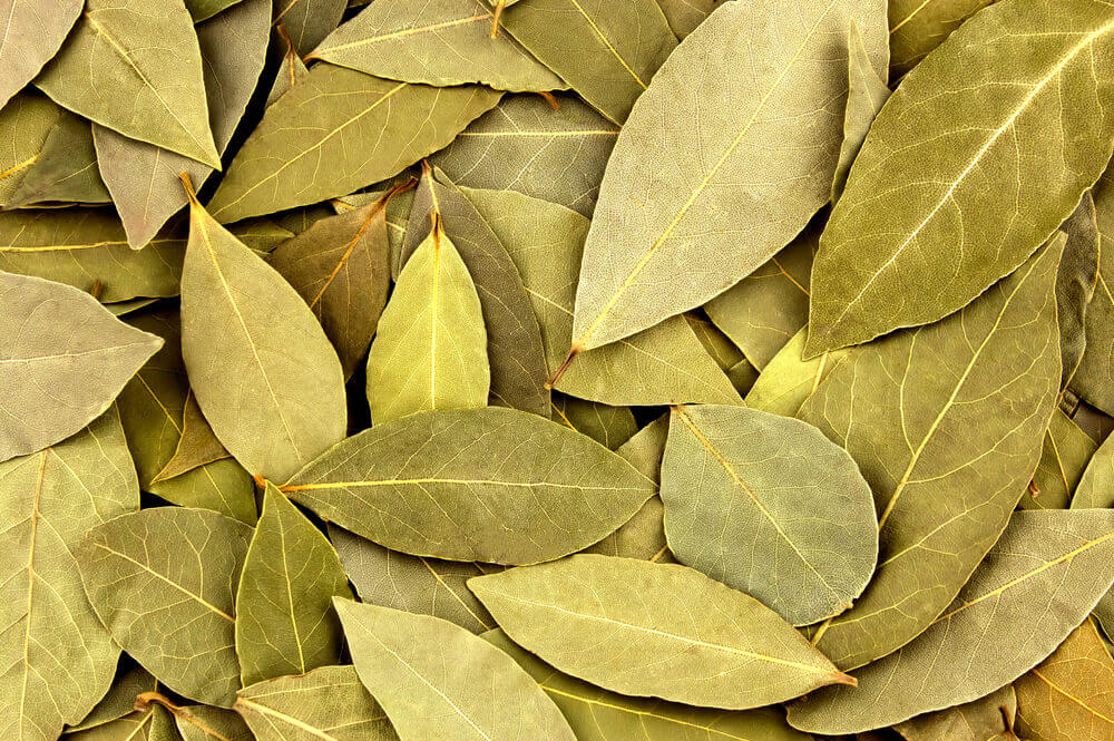 AC Hoja de Laurel 0.25oz