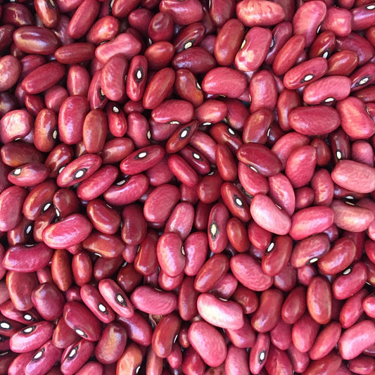 Red Seda Beans - Frijol Seda Rojo [2lb]