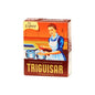 TRIGUISAR SEASONING 70G